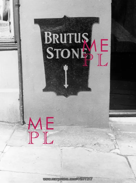 : THE BRUTUS STONE : THE BRUTUS STONE