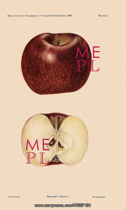  : Bryant Apple