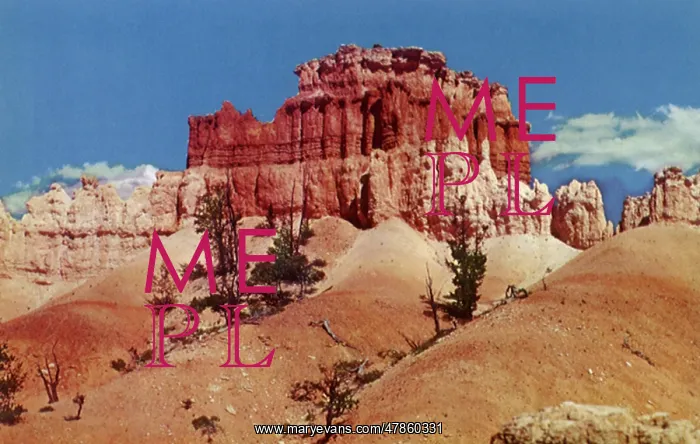  : Bryce Temple