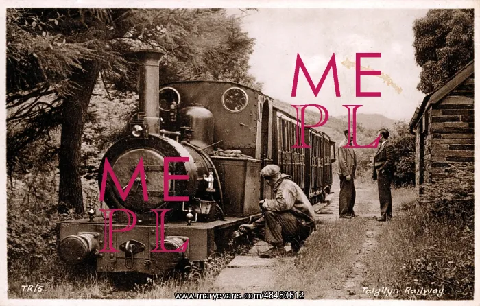 : Brynglas Station, Bryncrug, Cardiganshire : Brynglas Station, Bryncrug, Cardiganshire