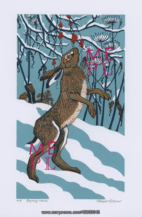 : Bryony Hare : Bryony Hare