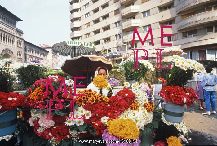 : Bucharest views, 1985 : Bucharest views, 1985