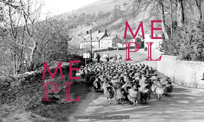  : Buckden, the Village c1955