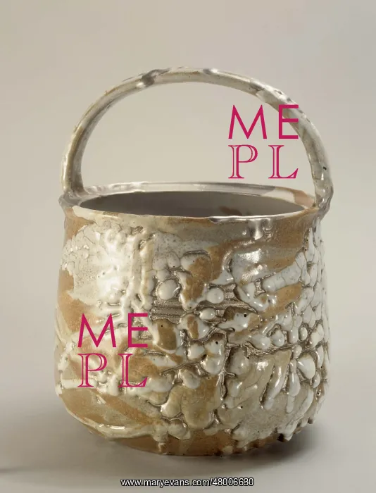 : Bucket with a handle : Bucket with a handle