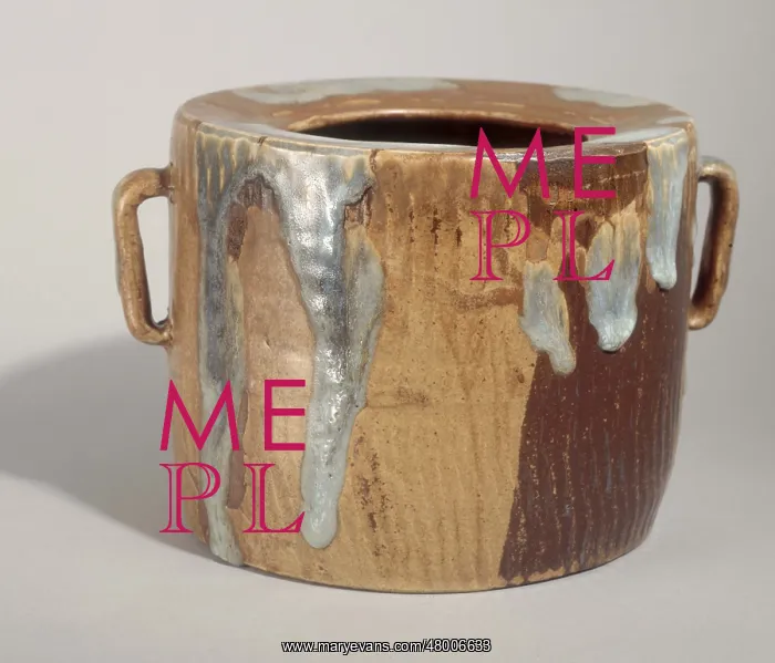 : Bucket with a handle : Bucket with a handle