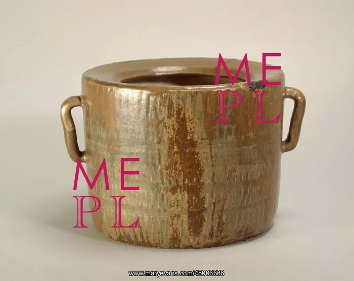 : Bucket with a handle : Bucket with a handle