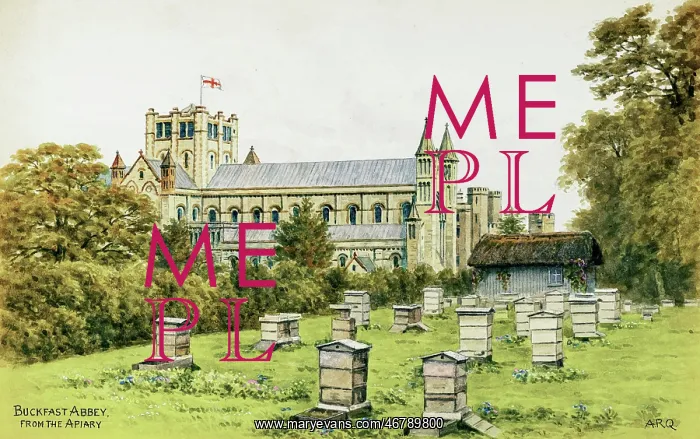 : Buckfast Abbey and Apiary, Dartmoor, Devon : Buckfast Abbey and Apiary, Dartmoor, Devon