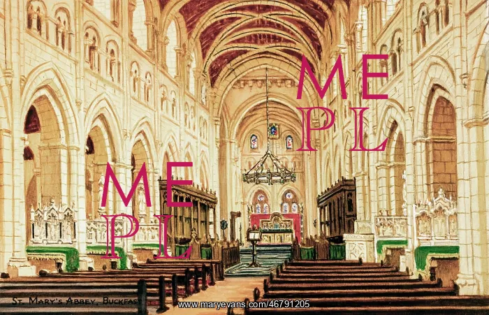 : Buckfast Abbey Church, Dartmoor, Devon : Buckfast Abbey Church, Dartmoor, Devon