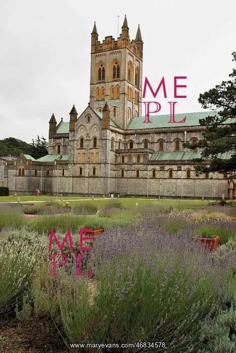 : Buckfast Abbey, Devon : Buckfast Abbey, Devon