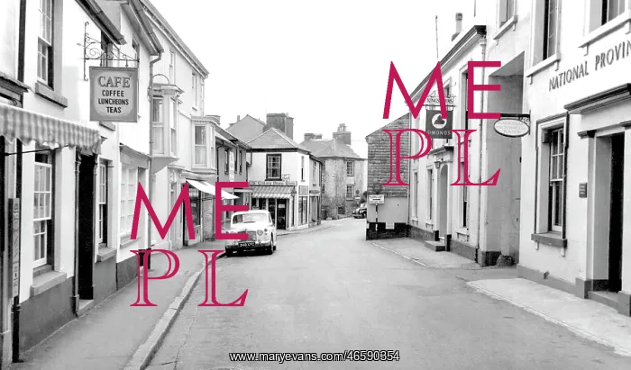  : Buckfastleigh, c1965