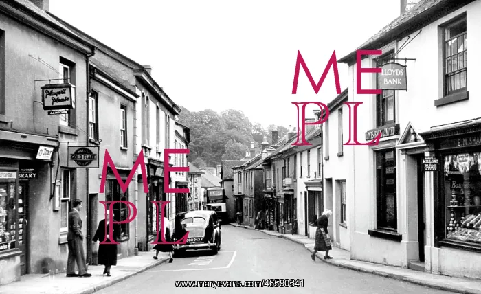  : Buckfastleigh, Fore Street 1952