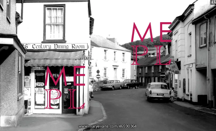  : Buckfastleigh, Fore Street c1965
