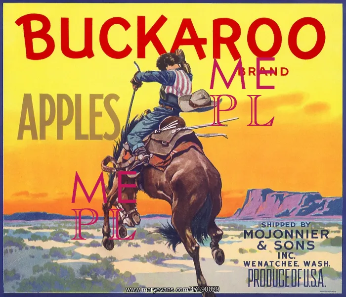 : Bucking Bronco