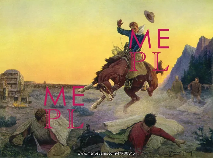 : Bucking Bronco : Bucking Bronco