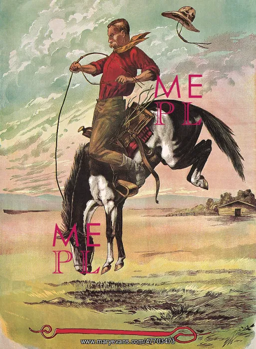 : A Bucking Bronco