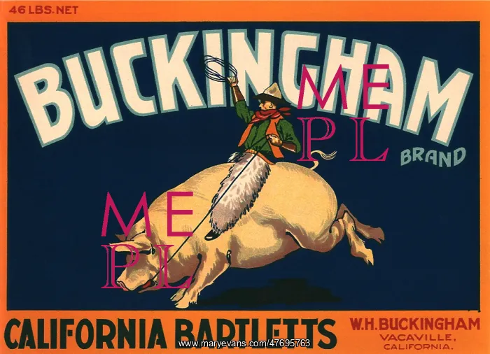  : Bucking Ham