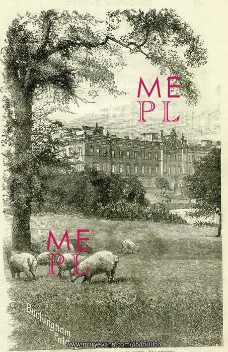  : Buckingham Palace with sheep grazing