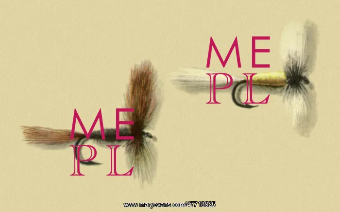  : Bucktail Wulff Flies
