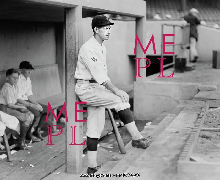: Bucky Harris - baseball - sports : Bucky Harris - baseball - sports