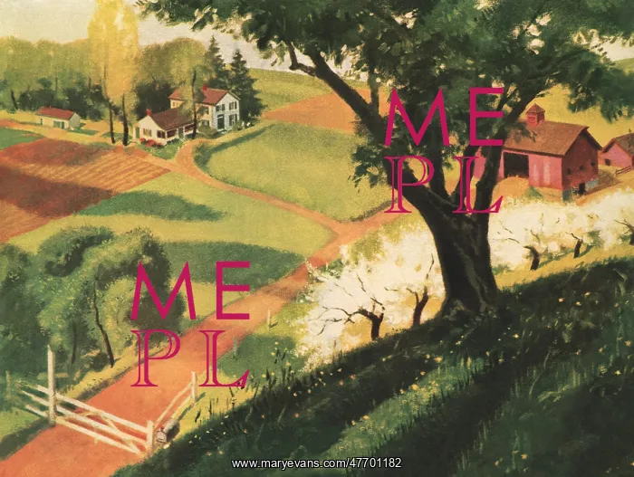  : Bucolic Farm Scene