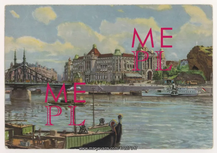  : BUDAPEST / HOTEL GELLERT
