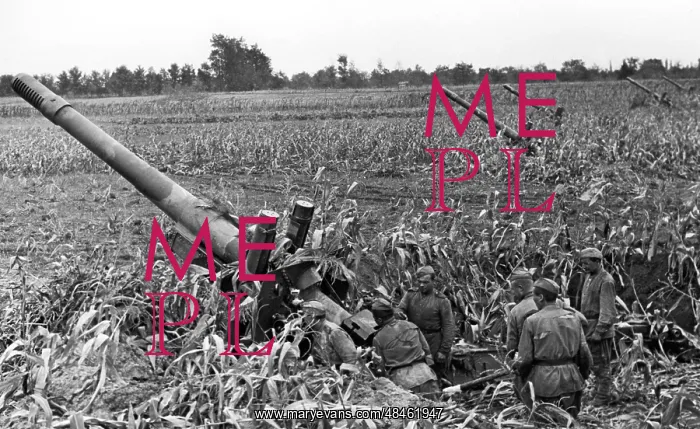 : Budapest Offensive : Budapest Offensive
