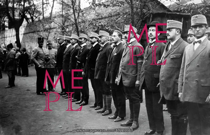 : Budapest vigilance committee, 1914 : Budapest vigilance committee, 1914