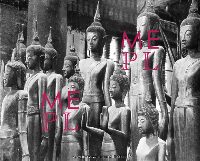 : Buddha statues : Buddha statues
