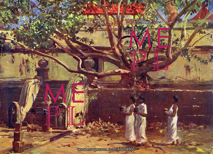 : BUDDHA'S BO-TREE : BUDDHA'S BO-TREE