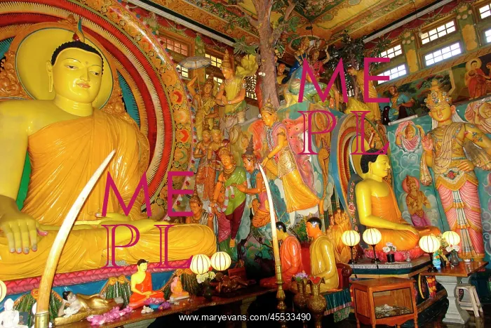 : Buddhas in a temple, Colombo, Sri Lanka : Buddhas in a temple, Colombo, Sri Lanka