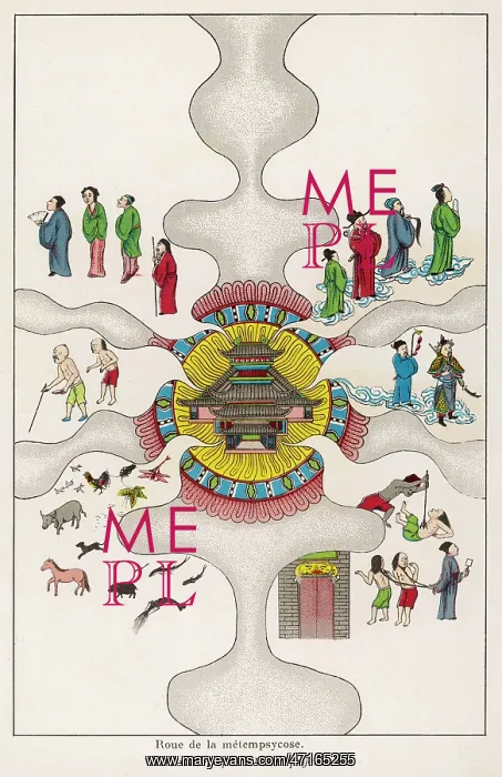 : The Buddhist concept of reincarnation : The Buddhist concept of reincarnation