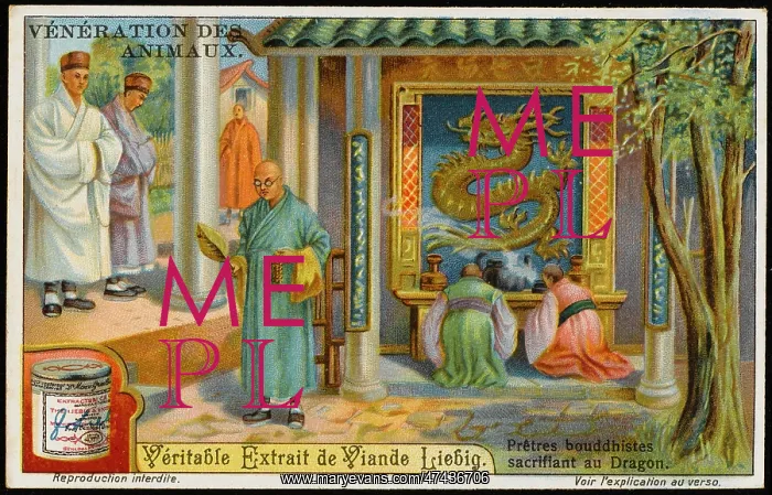 : BUDDHIST DRAGON WORSHIP : BUDDHIST DRAGON WORSHIP