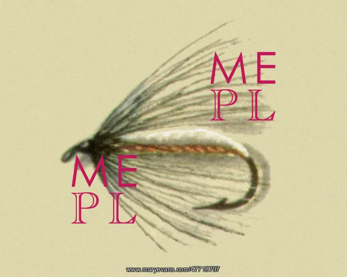  : Buddy Mite Fly