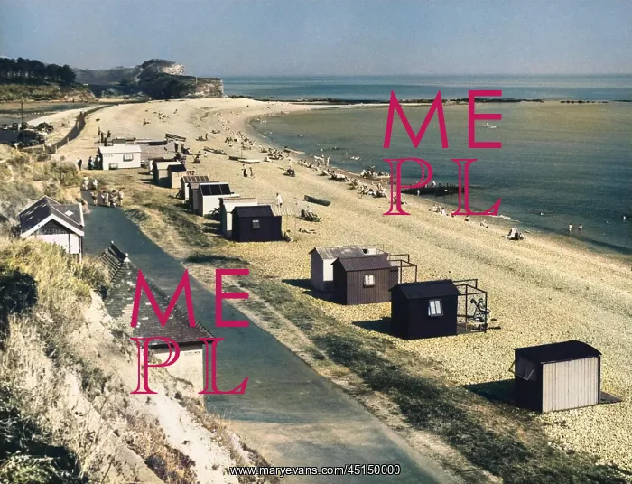 : BUDLEIGH SALTERTON, DEVON : BUDLEIGH SALTERTON, DEVON