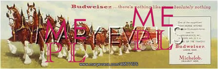 : BUDWEISER HORSE-WAGON : BUDWEISER HORSE-WAGON
