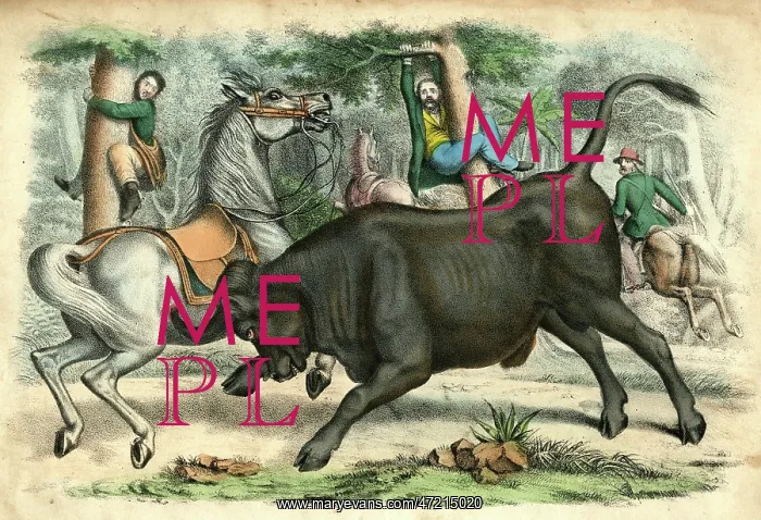  : BUFALO AND HUNTERS C1845