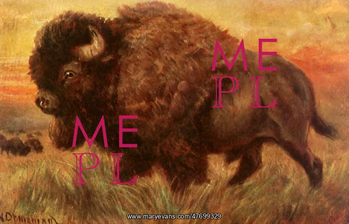  : Buffalo