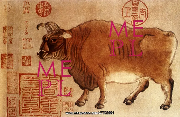  : Buffalo with Asian Script