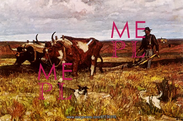  : Buffalo Bones are Plowed Under