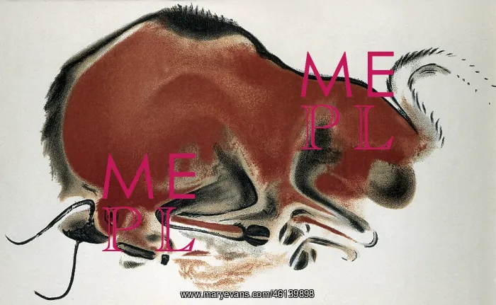 : Buffalo in the cave of Altamira : Buffalo in the cave of Altamira