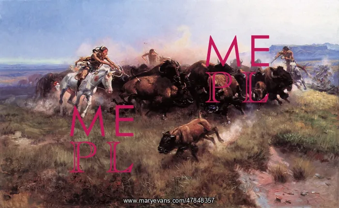  : The Buffalo Hunt