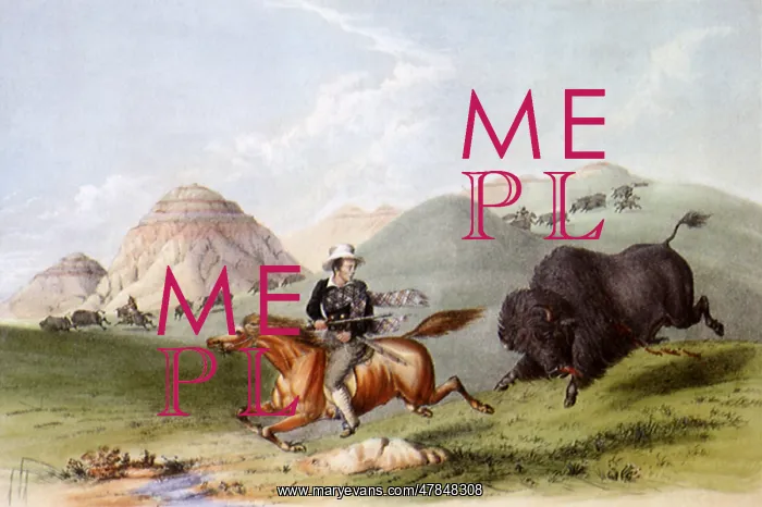 : Buffalo Hunt, Chasing Back, by George Catlin