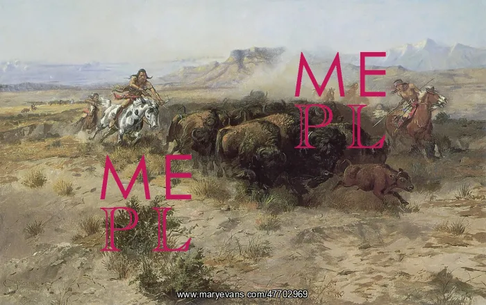  : Buffalo Hunt Number 26