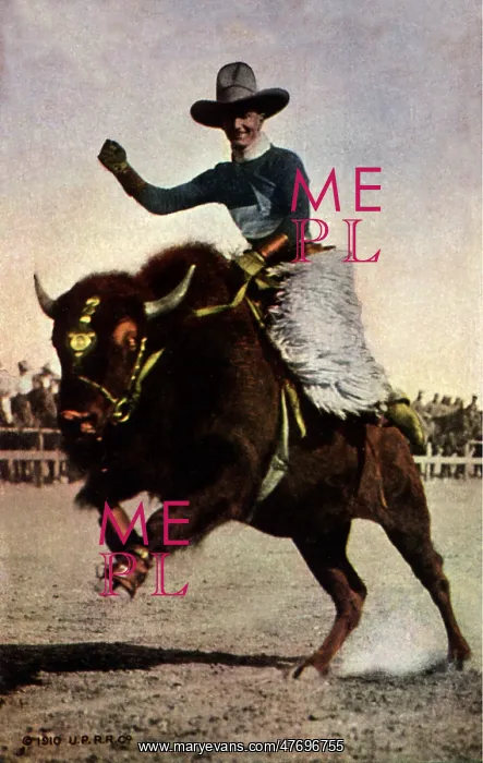  : Buffalo Rodeo