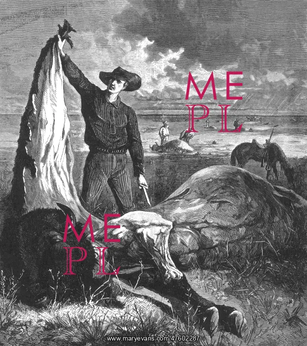 : Buffalo Skinner, 1874 : Buffalo Skinner, 1874