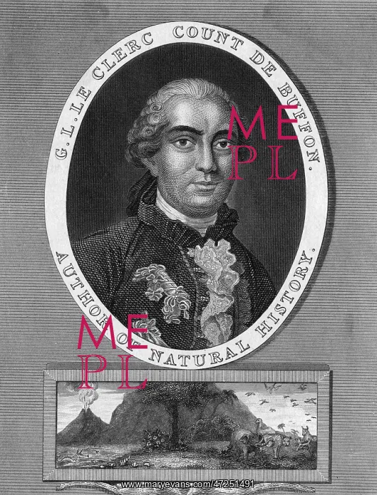 : BUFFON. GEORGES-LOUIS LECLERC alias BUFFON (1707 - 1788), French naturalist : BUFFON. GEORGES-LOUIS LECLERC alias BUFFON (1707 - 1788), French naturalist