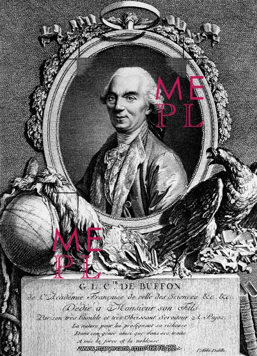 : Buffon, Georges Louis Leclerc Comte de, 7.9.1707 : Buffon, Georges Louis Leclerc Comte de, 7.9.1707