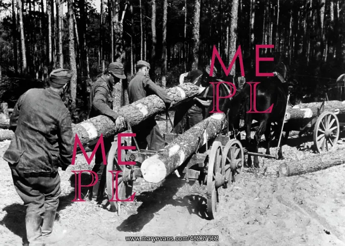 : Building an emplacement during the fighting in East Prussia : Building an emplacement during the fighting in East Prussia