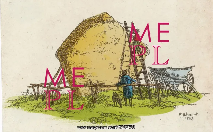 : BUILDING A HAYSTACK : BUILDING A HAYSTACK