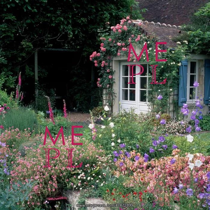 : Building with pink and white roses : Building with pink and white roses